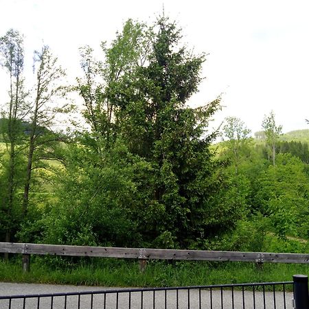 Apartament Feapp Parken & Pennen Mondsee Zewnętrze zdjęcie