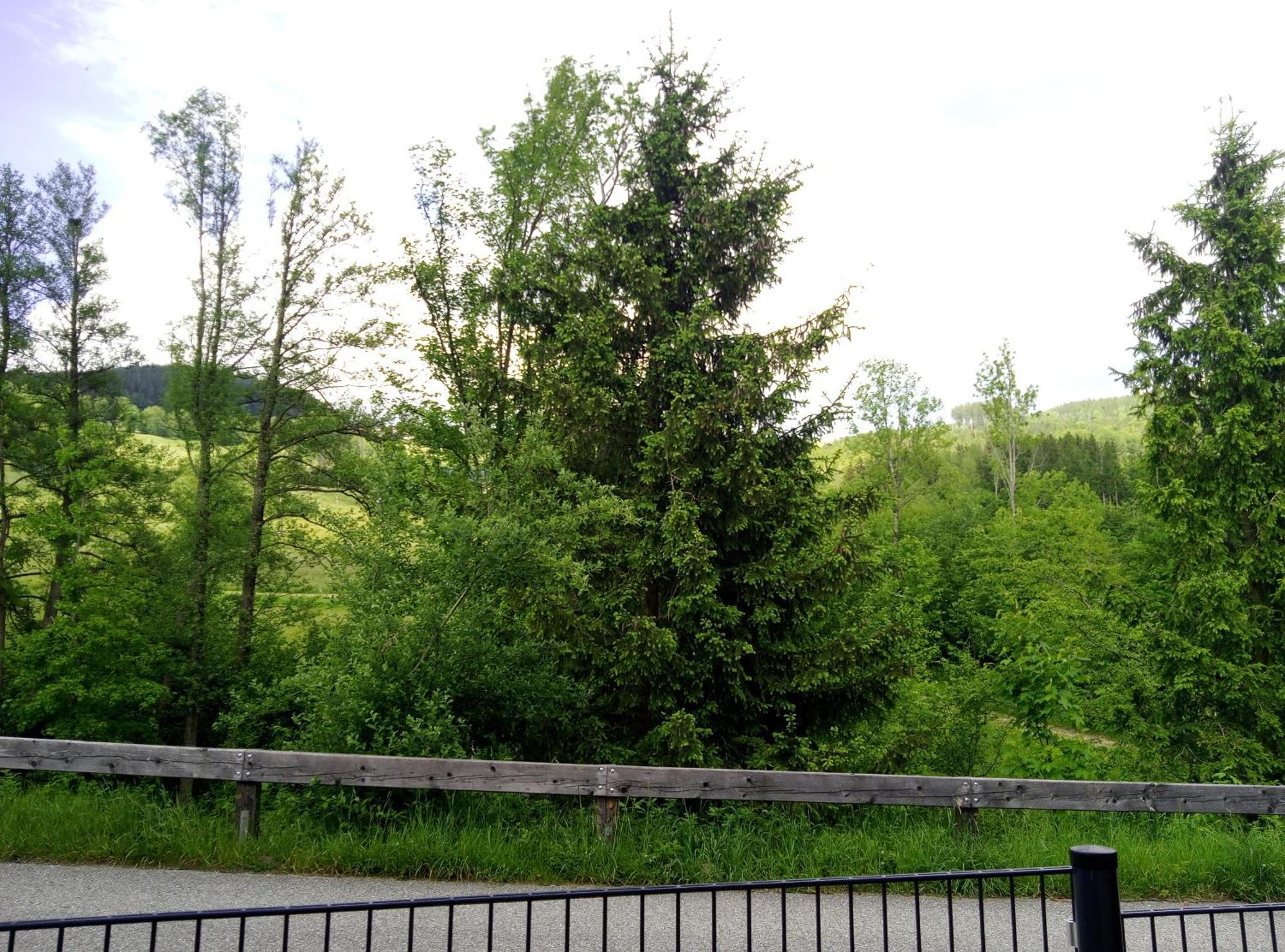 Apartament Feapp Parken & Pennen Mondsee Zewnętrze zdjęcie
